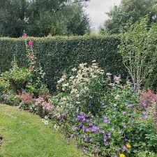 2750; Spisegruppe/Kolonihaveejere 