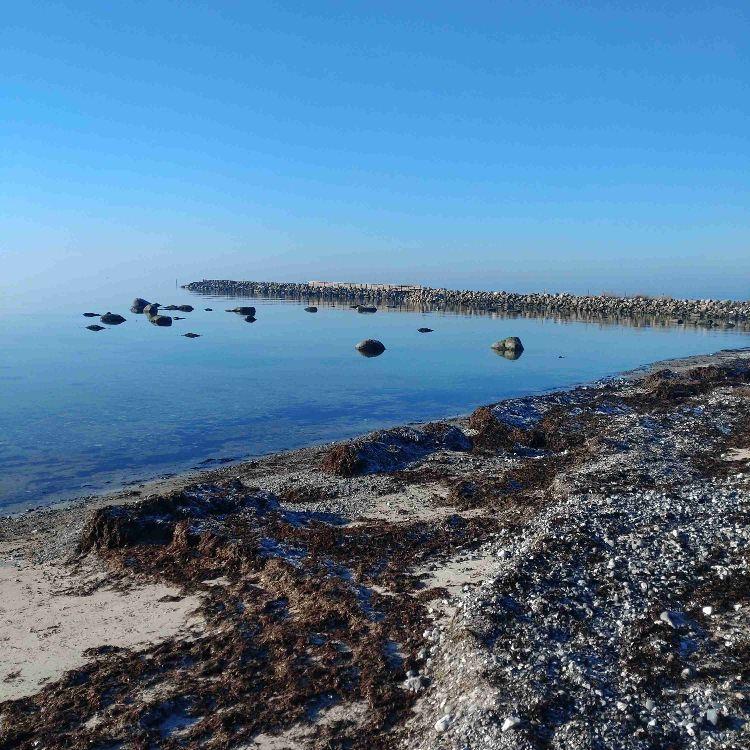 Veninde i Store Heddinge 