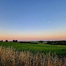 Måske er det dig jeg søger 😊🤷‍♀️