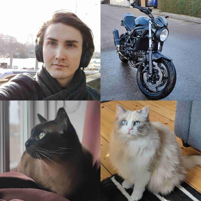 Venskaber og fælles interesser 