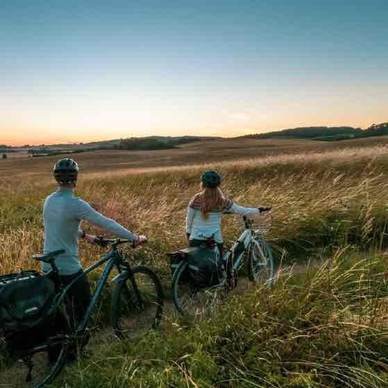 Cykelmakker 🚴‍♀️