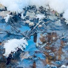 Naturoplevelser og gode samtaler