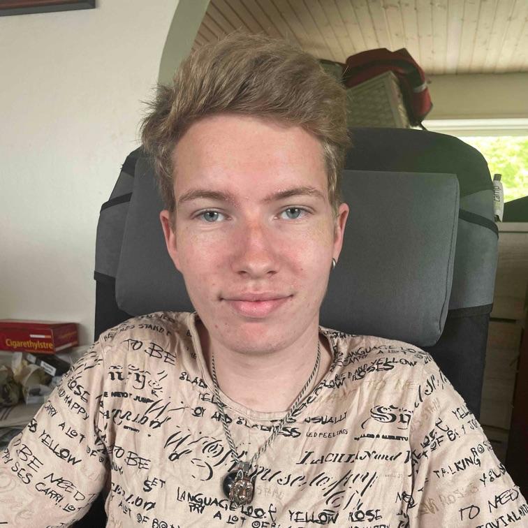 Søger venner 