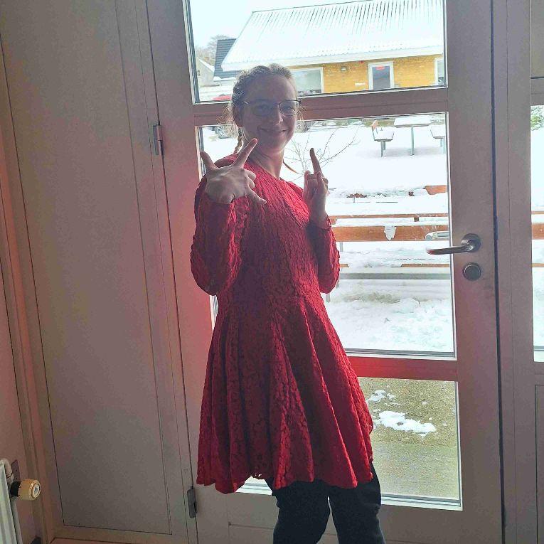 Søger veninder