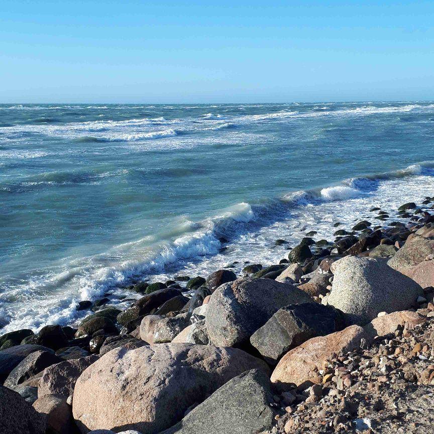 Søger netværk i og omkring Hjørring