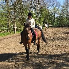 Ride muligheder søges 
