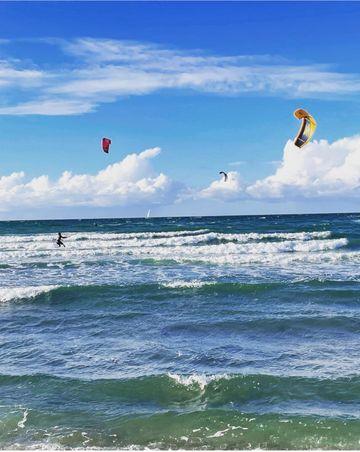 Billede af kitesurferne og deres farvede faldskærme ude på havet