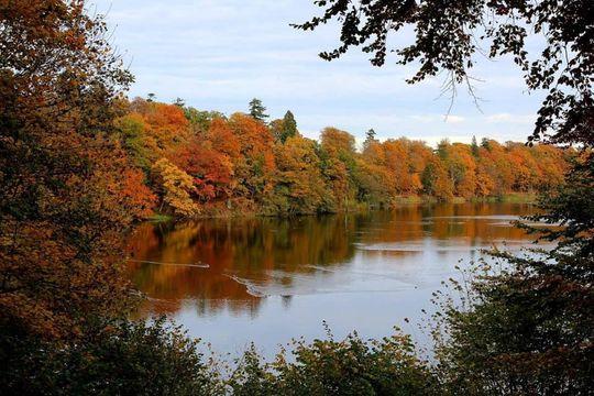 Flot efterårsbillede af de røde og orange træer omkring søen